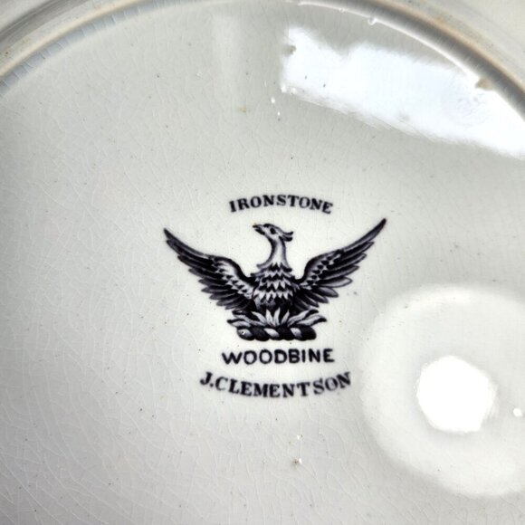 Woodbine Dinner Plates Lot of 2 10 5/8 in. Diameter J. Clementson Antiqu… - Picture 5 of 7